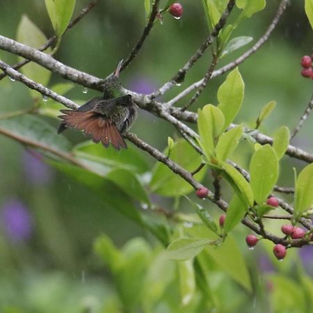 Aves De Tierras Altas Villa บิฆากัว ภายนอก รูปภาพ