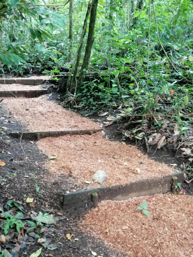 Aves De Tierras Altas Villa บิฆากัว ภายนอก รูปภาพ