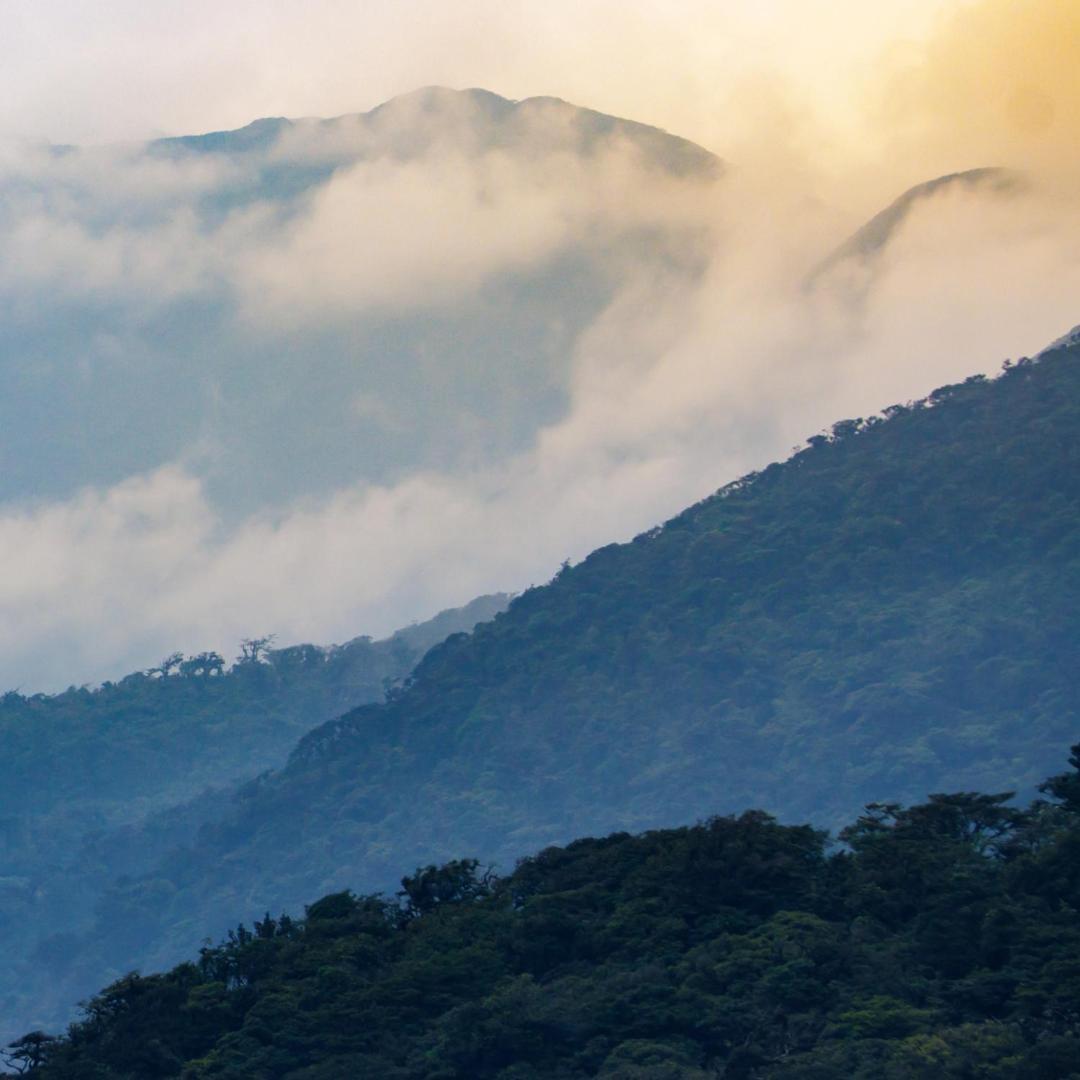 Aves De Tierras Altas Villa บิฆากัว ภายนอก รูปภาพ