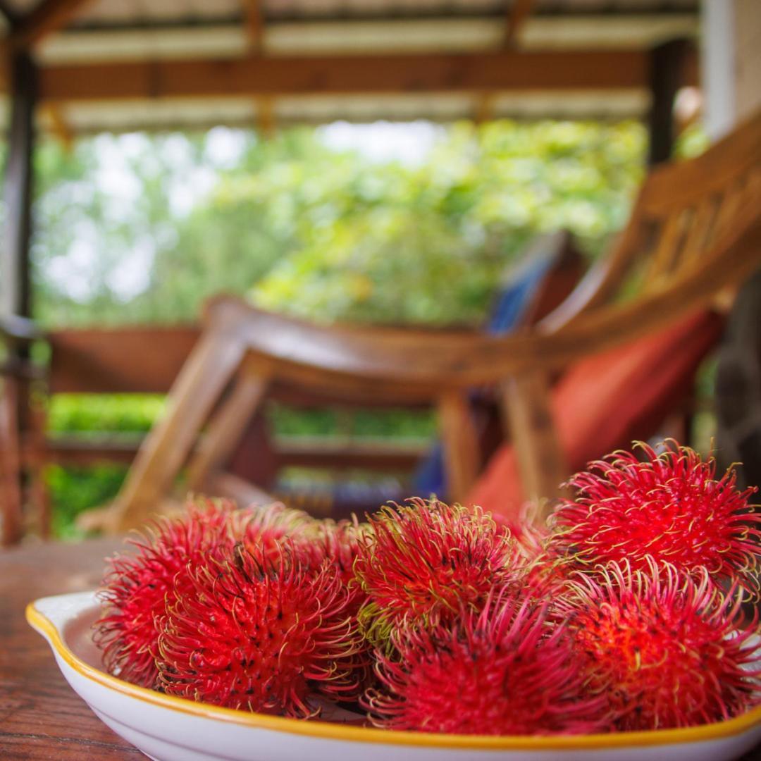 Aves De Tierras Altas Villa บิฆากัว ภายนอก รูปภาพ