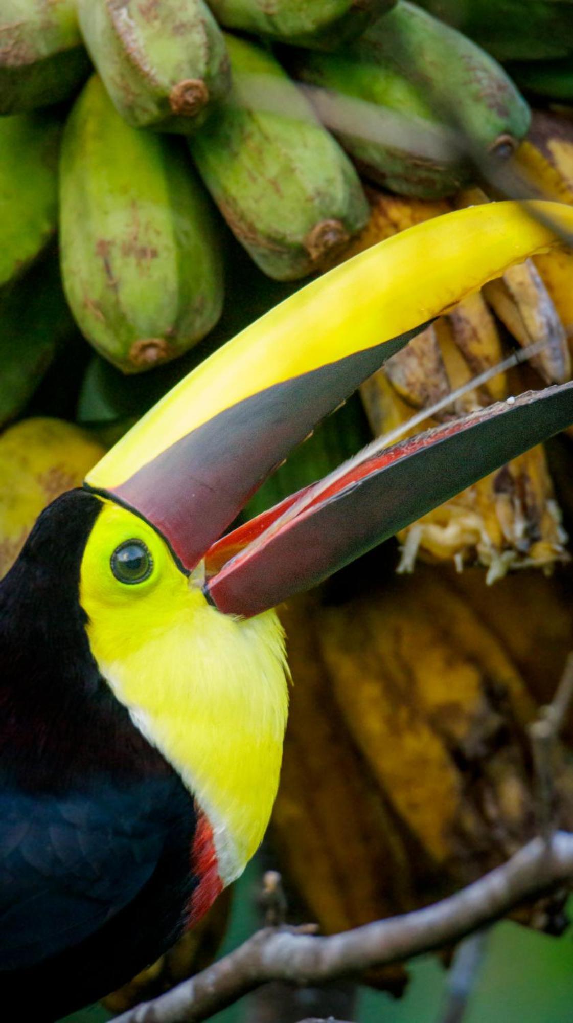 Aves De Tierras Altas Villa บิฆากัว ภายนอก รูปภาพ