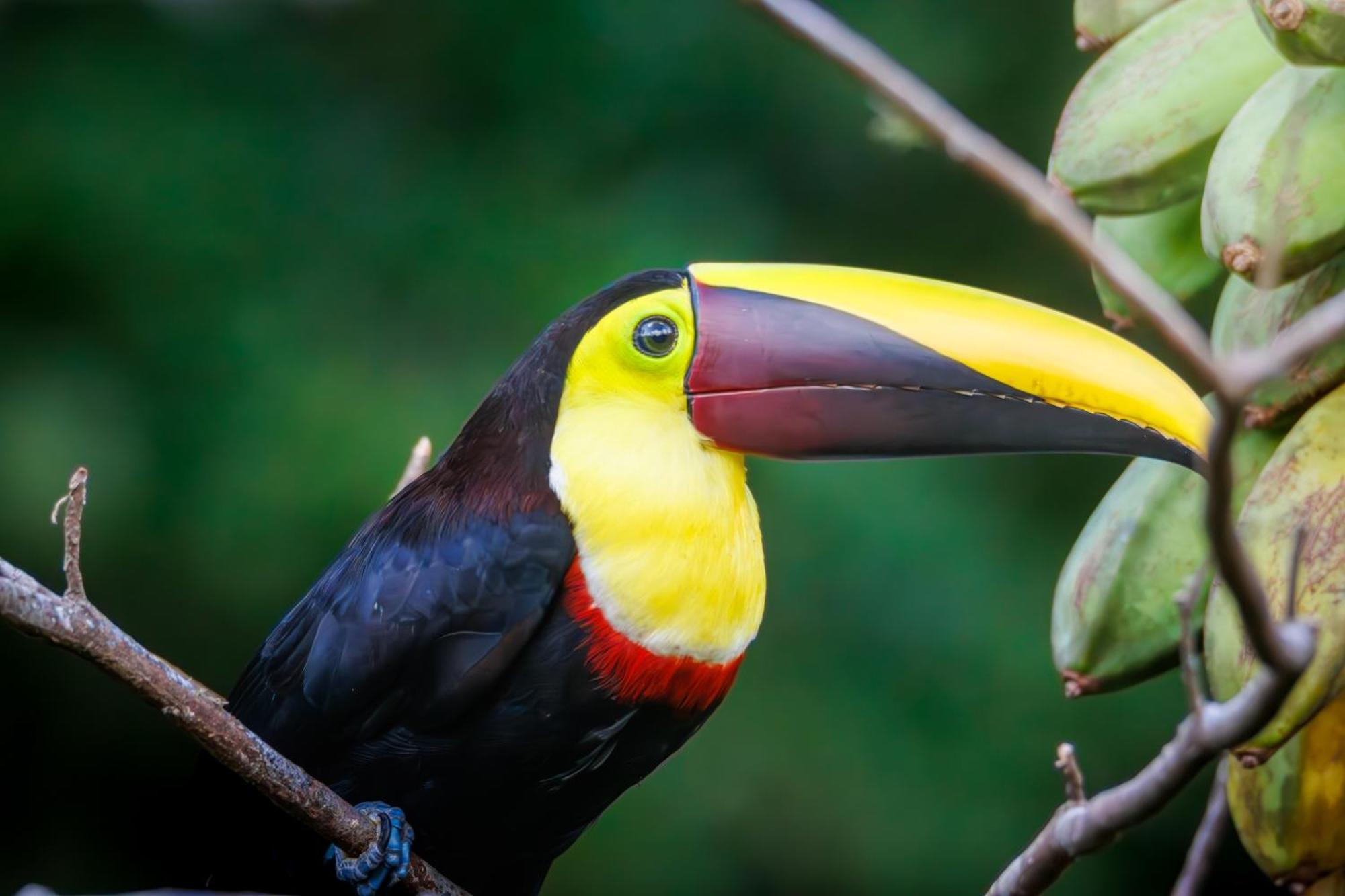 Aves De Tierras Altas Villa บิฆากัว ภายนอก รูปภาพ