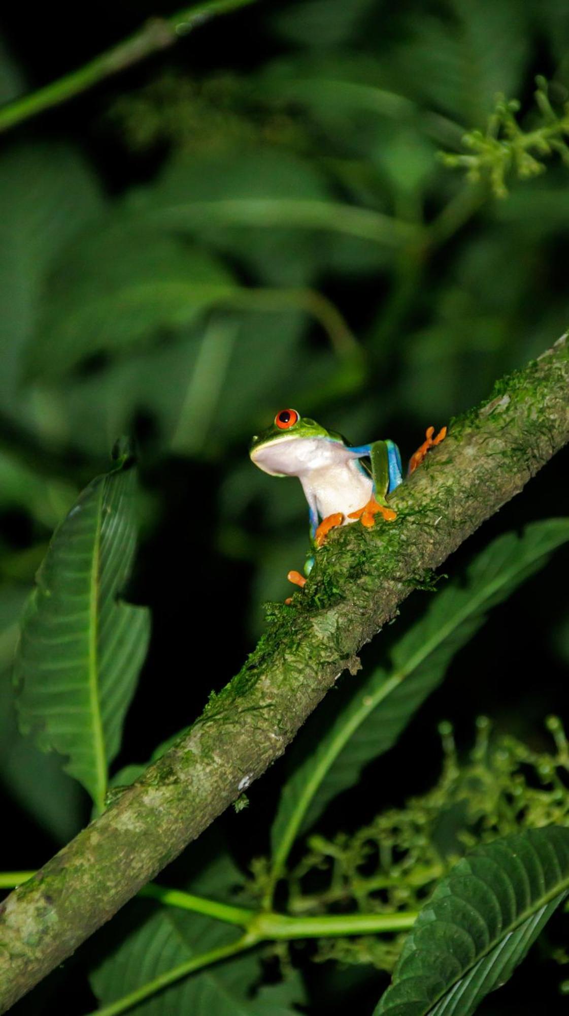 Aves De Tierras Altas Villa บิฆากัว ภายนอก รูปภาพ