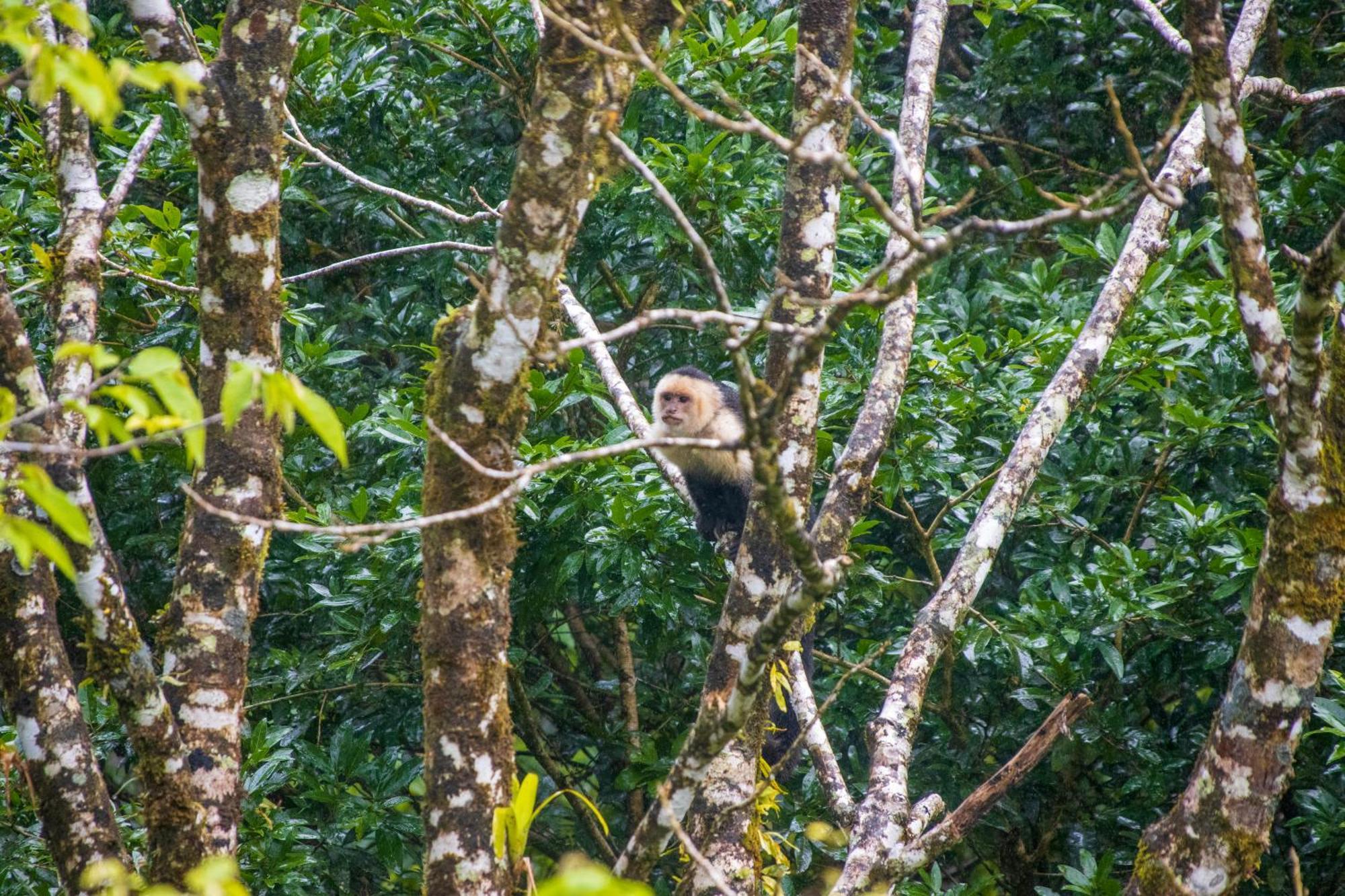 Aves De Tierras Altas Villa บิฆากัว ภายนอก รูปภาพ