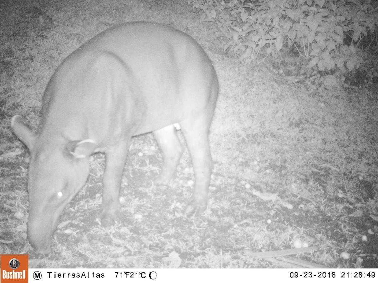 Aves De Tierras Altas Villa บิฆากัว ภายนอก รูปภาพ