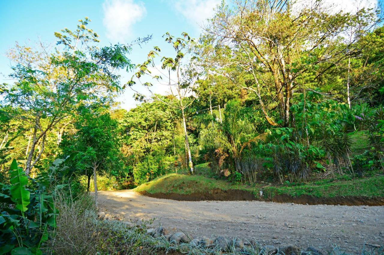 Aves De Tierras Altas Villa บิฆากัว ภายนอก รูปภาพ
