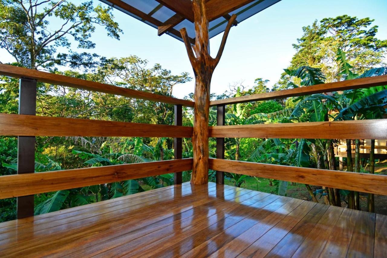 Aves De Tierras Altas Villa บิฆากัว ภายนอก รูปภาพ