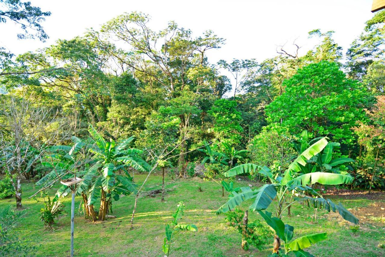 Aves De Tierras Altas Villa บิฆากัว ภายนอก รูปภาพ