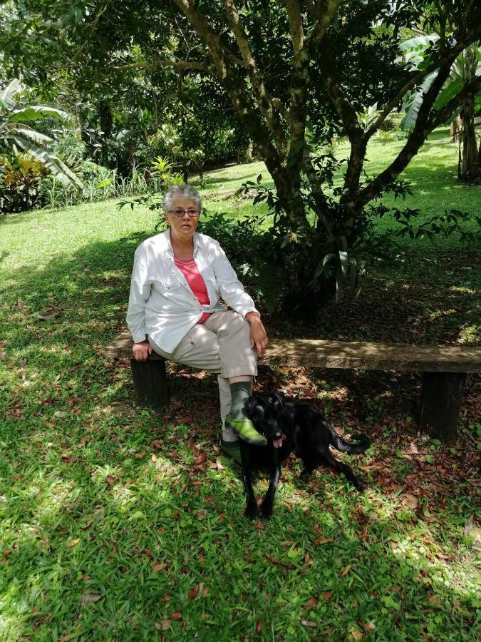 Aves De Tierras Altas Villa บิฆากัว ภายนอก รูปภาพ