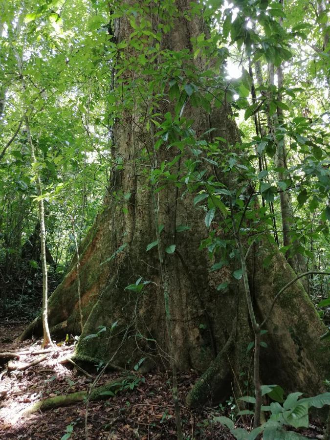 Aves De Tierras Altas Villa บิฆากัว ภายนอก รูปภาพ