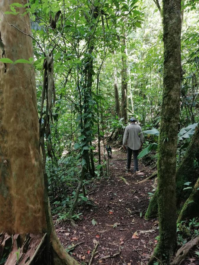 Aves De Tierras Altas Villa บิฆากัว ภายนอก รูปภาพ